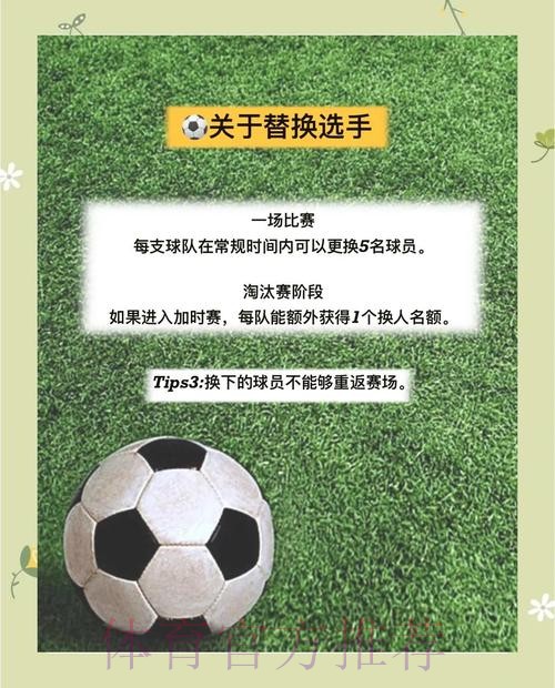 免费版世界杯投注新手指南