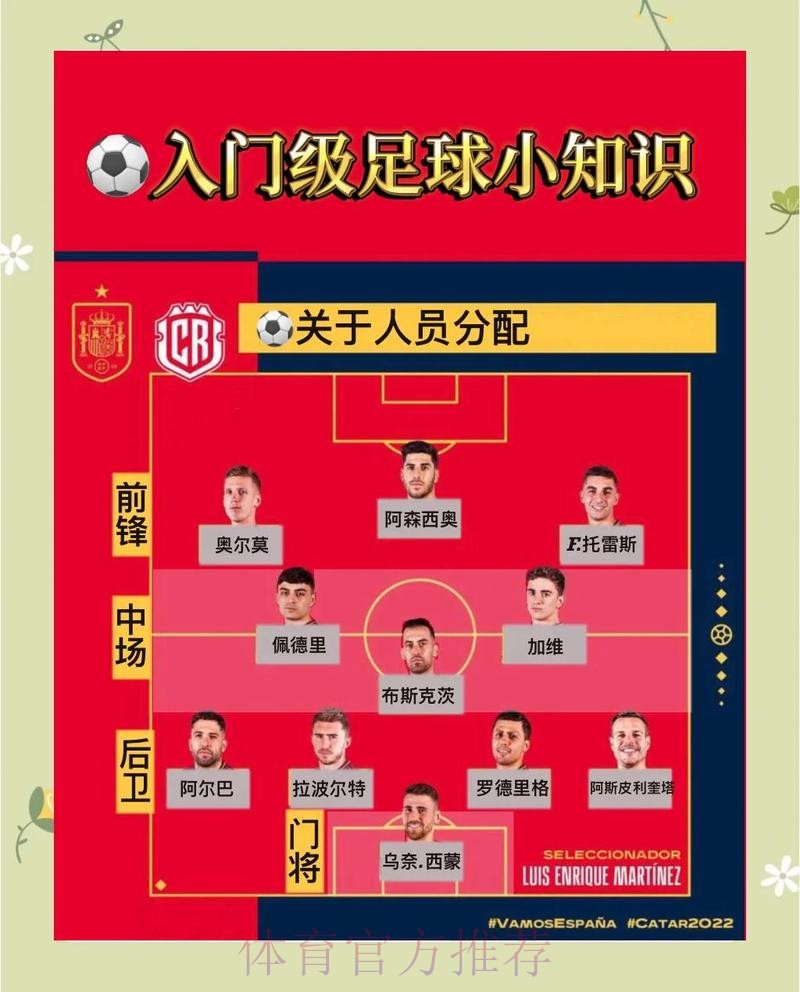 实用指南：如何挑选顶级世界杯滚球网站
